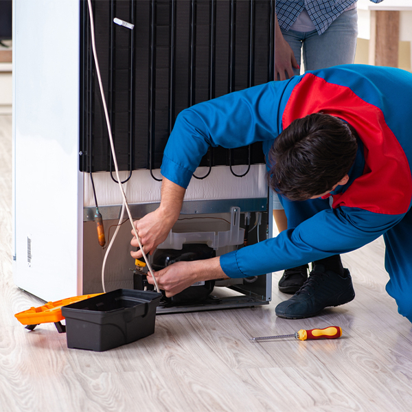 is it cost-effective to repair a refrigerator or replace it entirely in Texas County MO